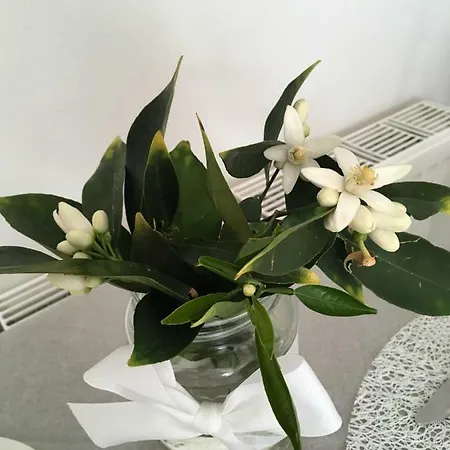 Appartamento Small & Cozy *